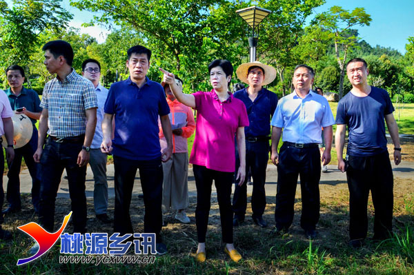 要闻-工作动态-政务公开-永春县人民政府