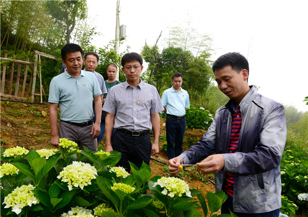要闻-工作动态-政务公开-永春县人民政府